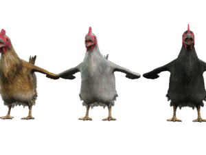 Chicken 3D iProp – Realistic Animated Hen with Full Motion Pack for iClone