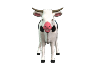 Cow 3D iProp – Realistic Animated Cow with Full Motion Pack for iClone