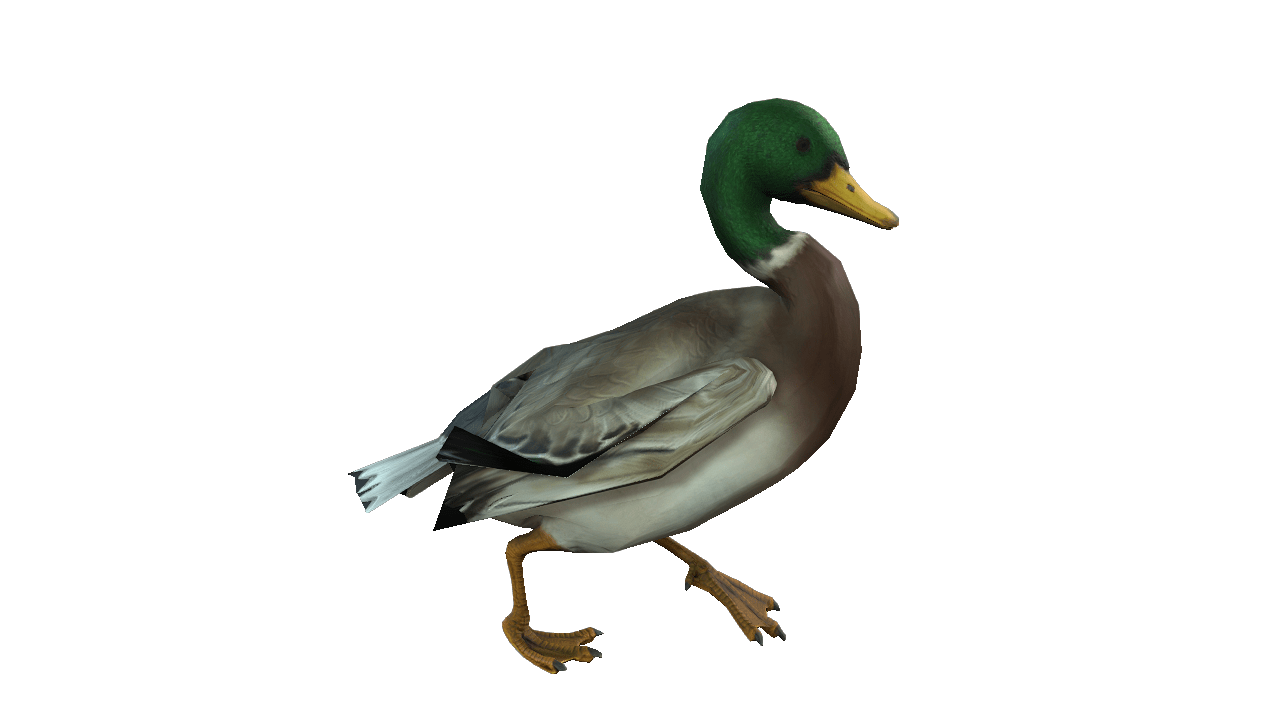 Duck 3D iProp – Realistic Animated Duck with Full Motion Pack for iClone