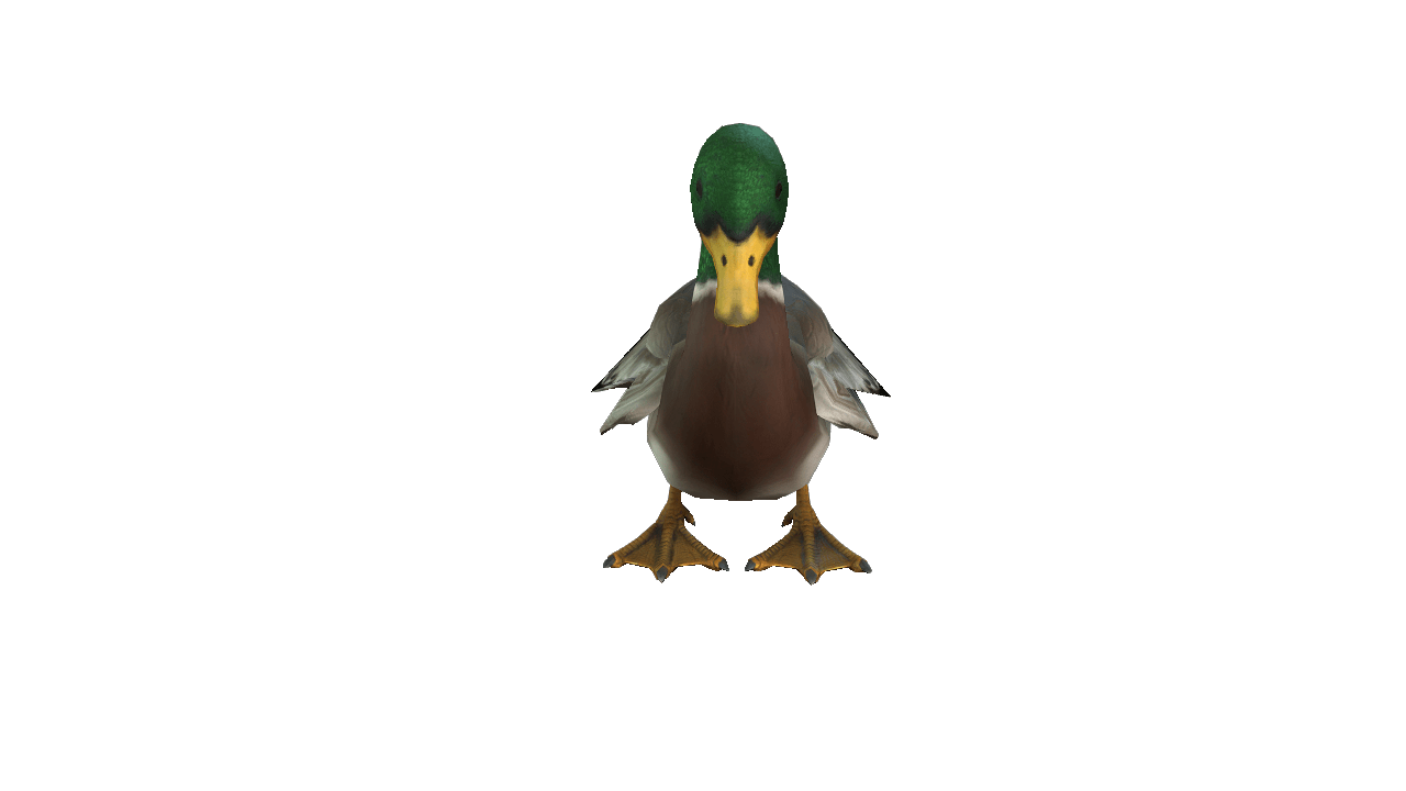 Duck 3D iProp – Realistic Animated Duck with Full Motion Pack for iClone - Image 3