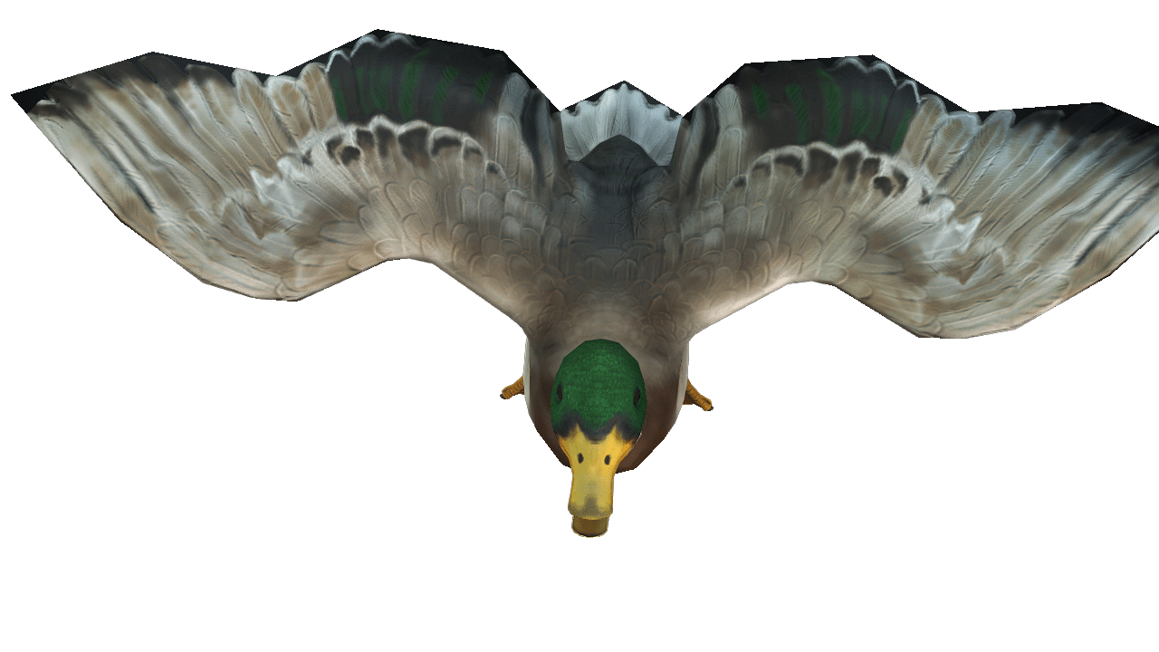 Duck 3D iProp – Realistic Animated Duck with Full Motion Pack for iClone - Image 4