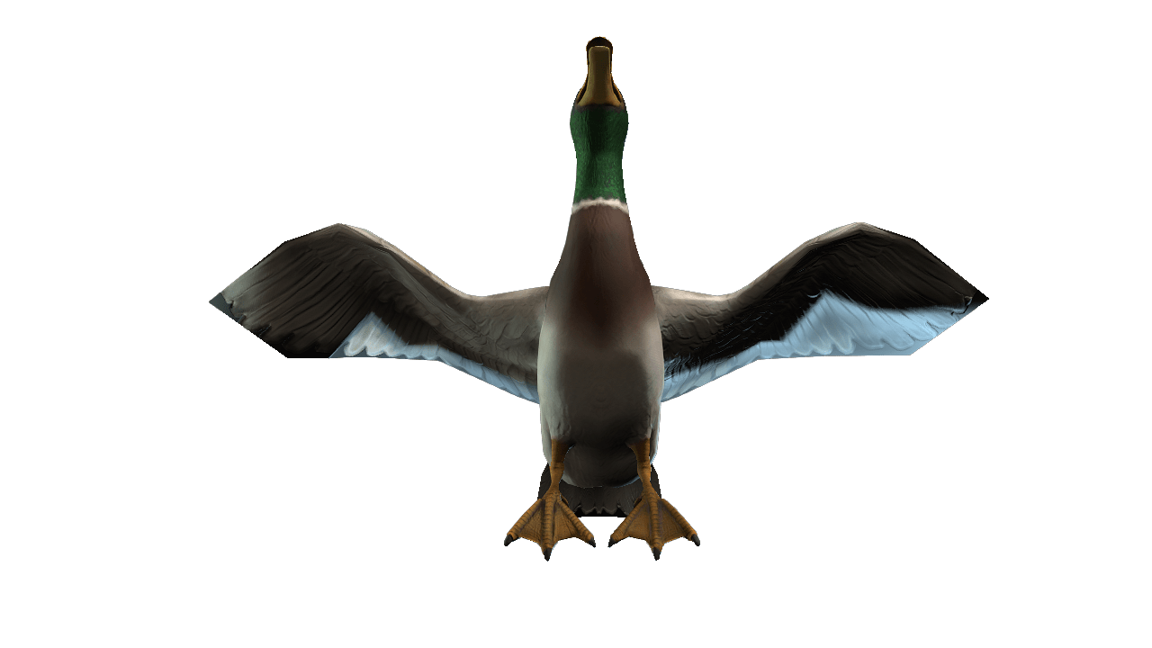 Duck 3D iProp – Realistic Animated Duck with Full Motion Pack for iClone - Image 5