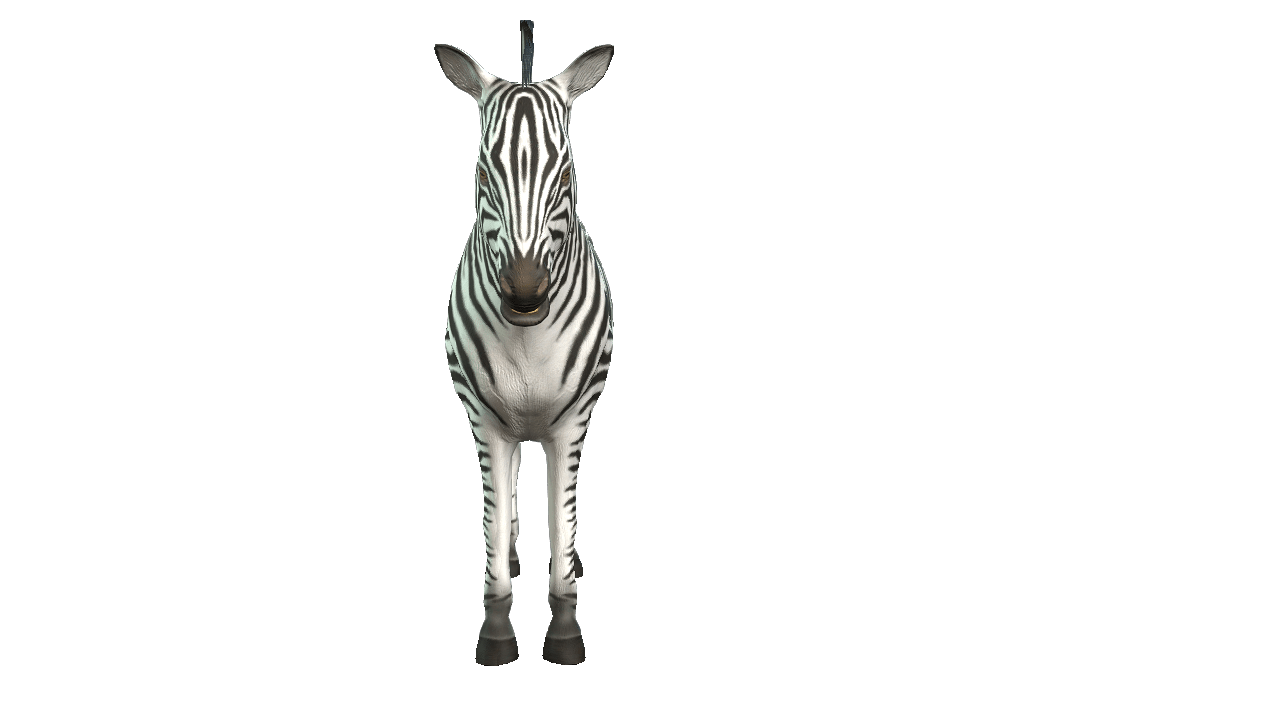 Zebra 3D iProp – Spider-Themed Animated Zebra with 20+ Motion Pack for iClone - Image 6