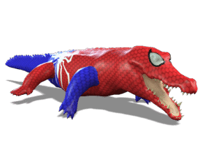 Crocodile 3D iProp – Animated Monster Crocodile with Full Motion Pack for iClone