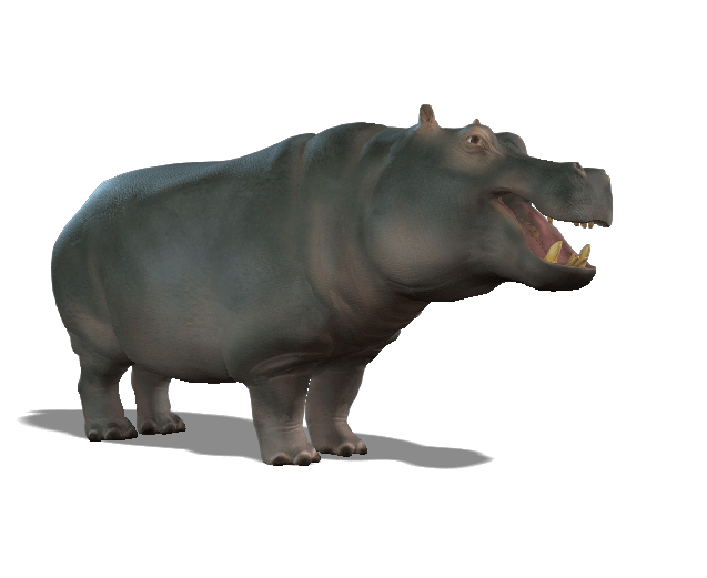 Hippopotamus 3D iProp – Spider-Themed Animated Hippo with 20+ Motion Pack for iClone - Image 2