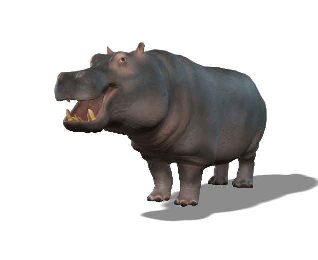 Hippopotamus 3D iProp – Spider-Themed Animated Hippo with 20+ Motion Pack for iClone - Image 8