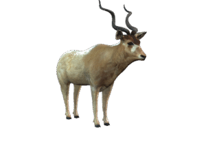 Addax Antelope 3D iProp – Realistic Wildlife Animal with Full Motion Pack for iClone